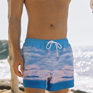 NWT Daze Dayz SKY MEN'S SWIM SHORTS Size Large